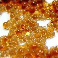 Ion Exchange Resin